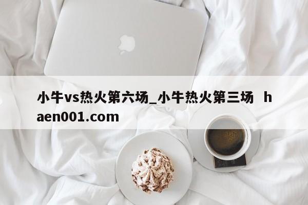 小牛vs热火第六场_小牛热火第三场 haen001.com